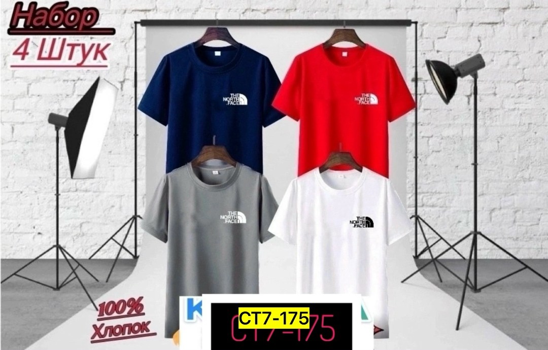 футболка мужская,мужские футболки the north face, ,футболка the north face,футболка