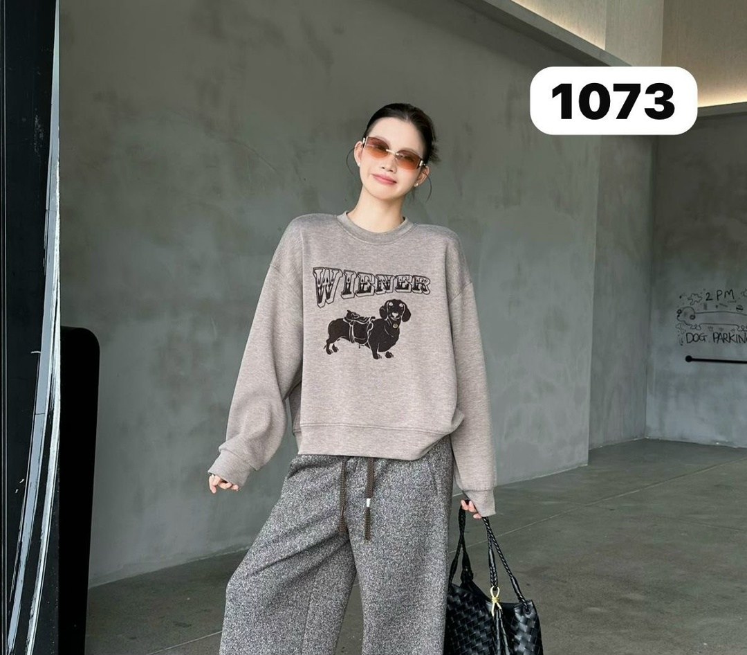 свитшот женская,толстовка в стиле,корейские стиль,женский пуловер,свитшот