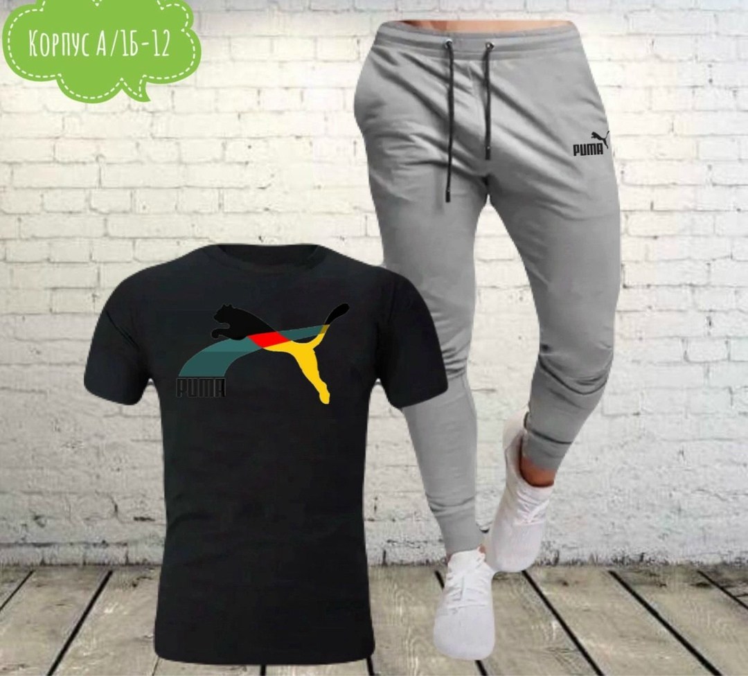 костюмы спортивные мужские,костюм мужской puma,костюмы спортивные для мальчика,спортивные костюмы,мужской повседневный спортивный костюм