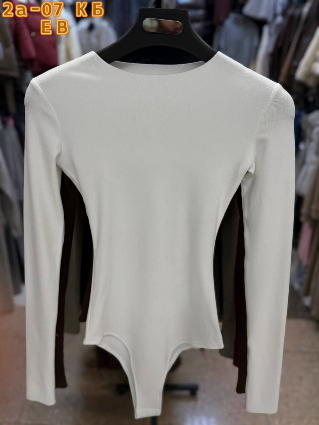 женские боди,боди для женщин,боди с длинными рукавами,трикотажное боди,боди с длинным рукавом женский