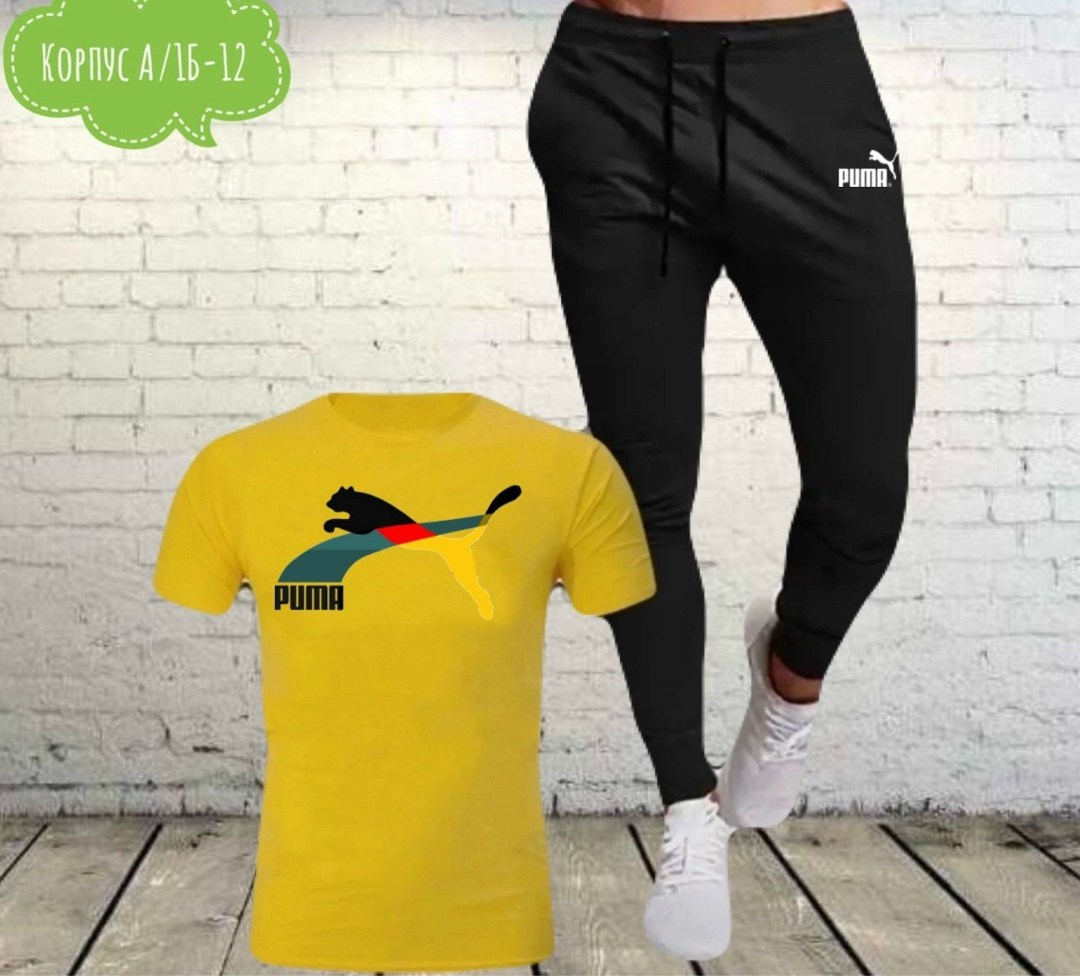 костюмы спортивные мужские,костюм мужской puma,костюмы спортивные для мальчика,спортивные костюмы,мужской повседневный спортивный костюм