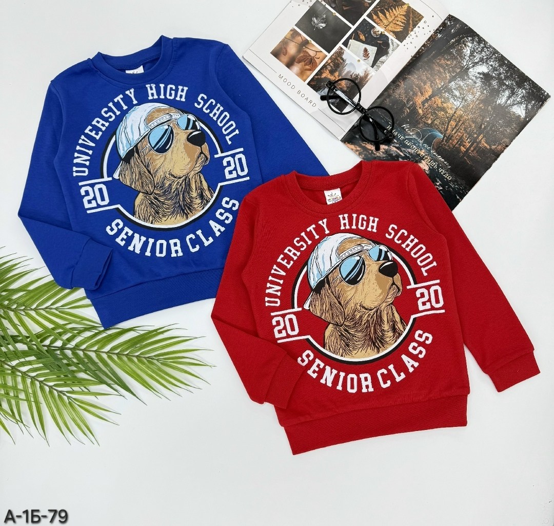 кофта для мальчика,cвитшот для мальчика,джемпер для мальчика,детский джемпер,детская кофта