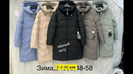 Верхняя одежда