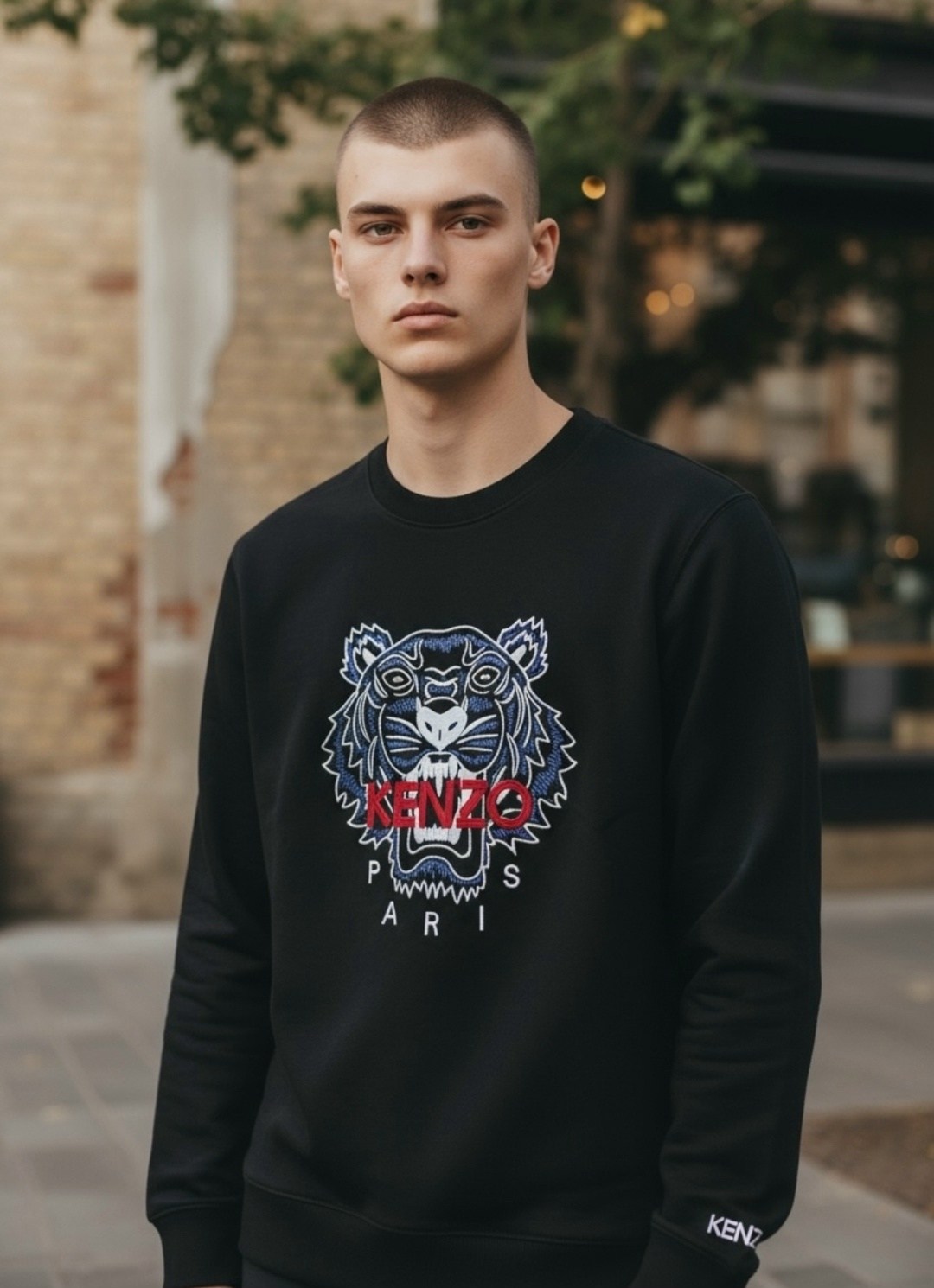 kenzo tiger,мужские толстовки kenzo,свитшот kenzo,толстовка kenzo,мужские свитшоты