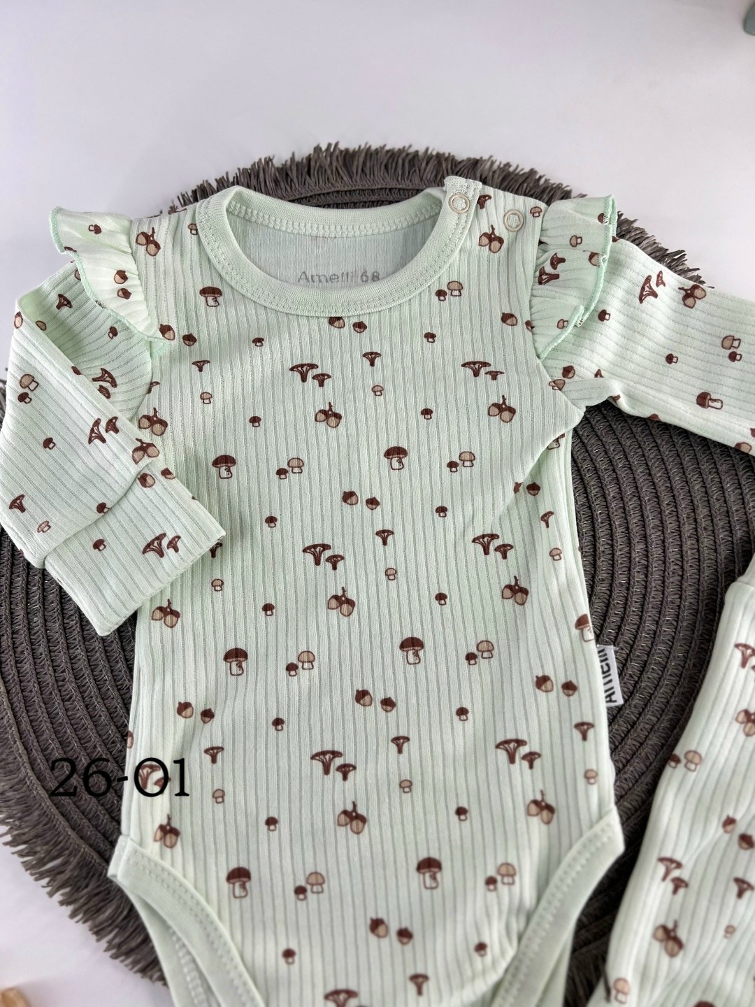 комплект боди,комплект одежды для новорожденного,боди для новорожденного,комплект одежды для малыша,одежда для новорожденны