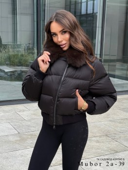 Верхняя одежда