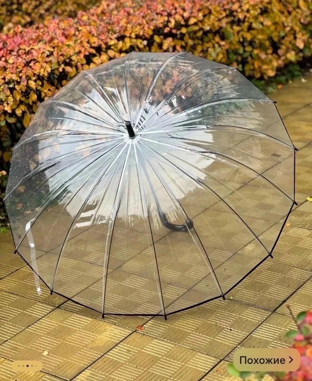 зонт прозрачный трость,зонт rain трость прозрачный 16 спиц,зонт прозрачный,прозрачный зонт трость 16 спиц,зонт трость прозрачный полуавтомат