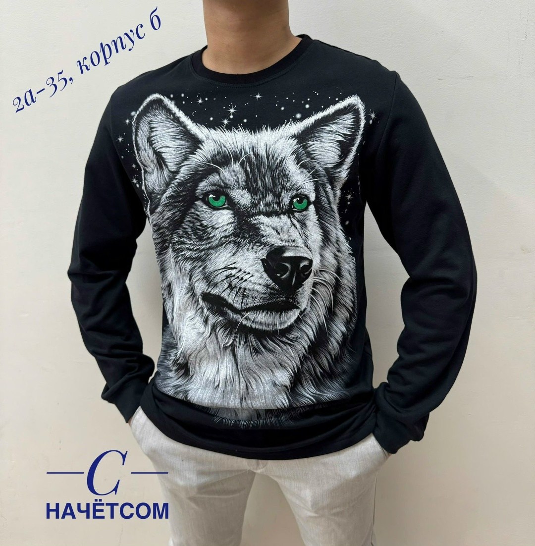 свитшот мужская,мужские свитшоты,мужская кофта,свитшот с рисунком,толстовки свитшот