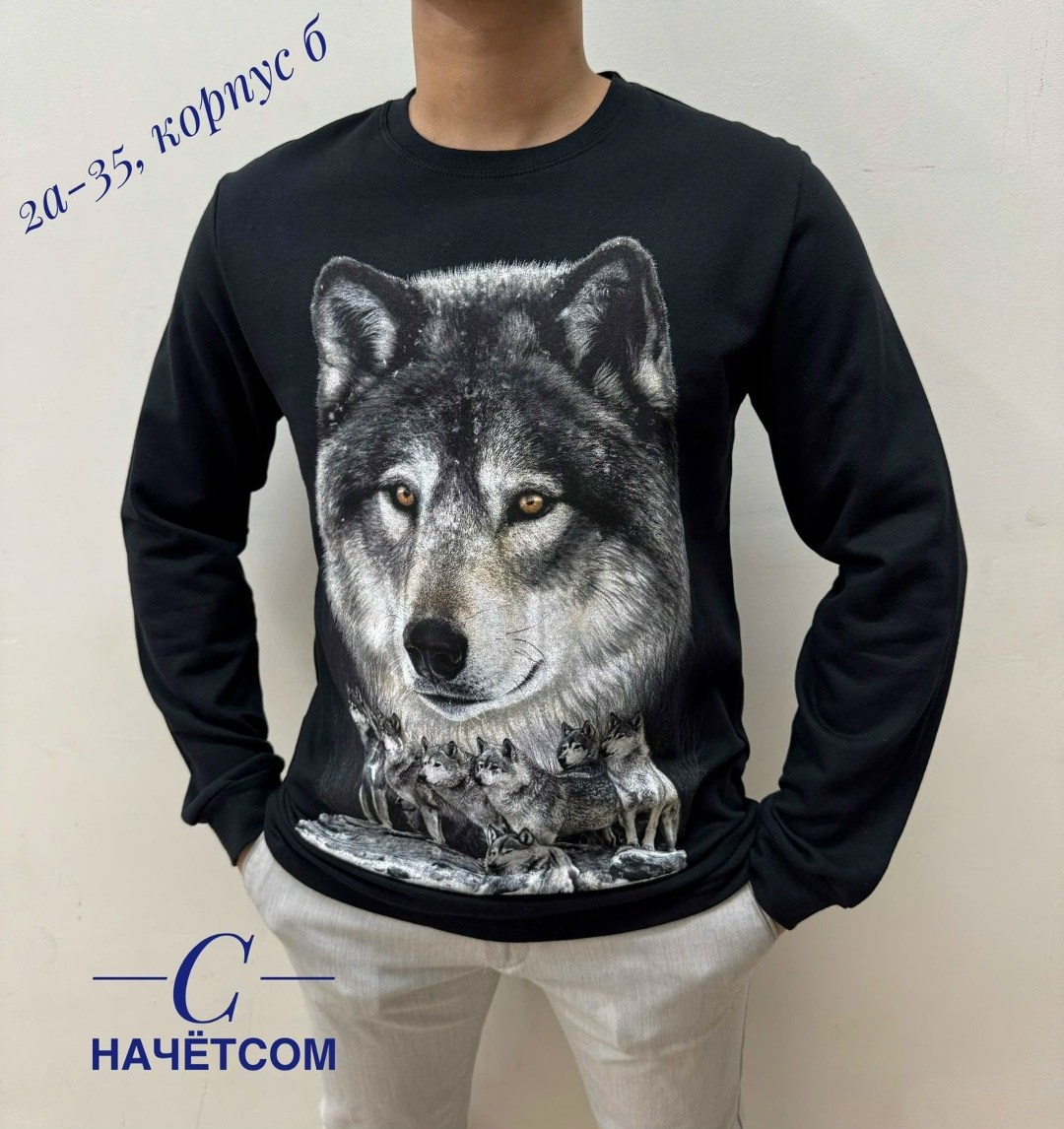 свитшот мужская,мужские свитшоты,мужская кофта,свитшот с рисунком,толстовки свитшот