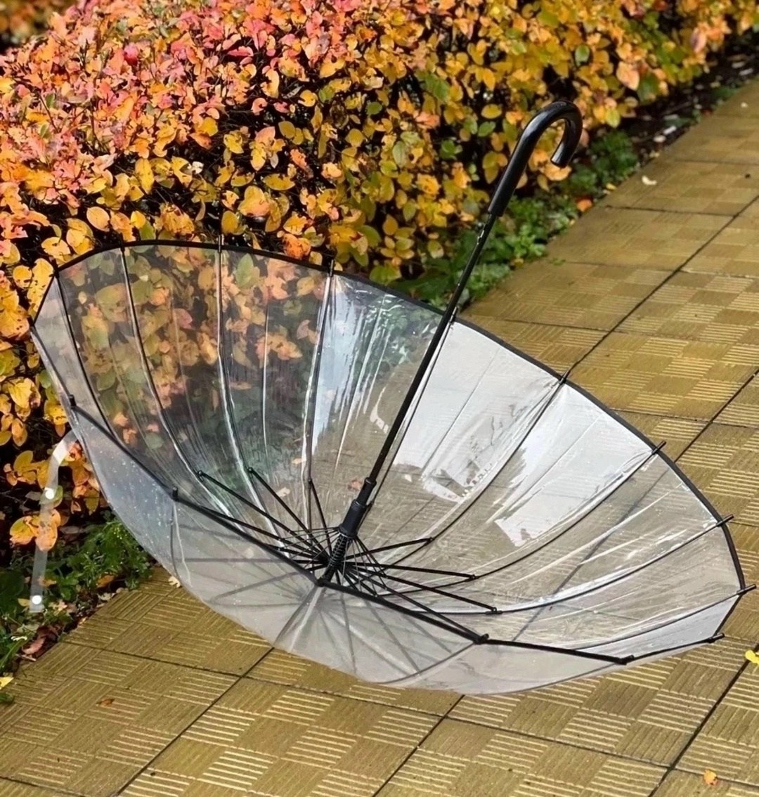 зонт прозрачный трость,зонт rain трость прозрачный 16 спиц,зонт прозрачный,прозрачный зонт трость 16 спиц,зонт трость прозрачный полуавтомат