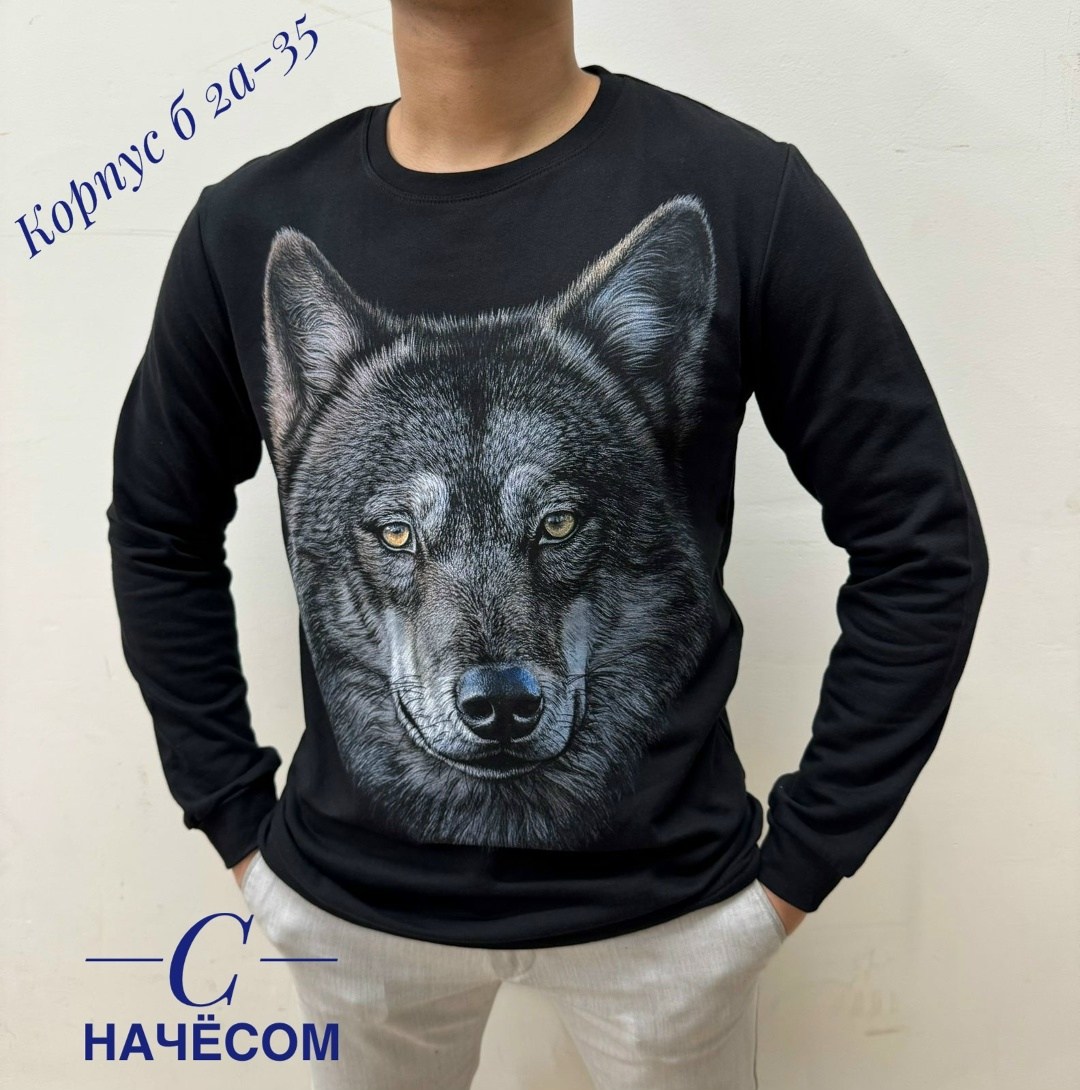 свитшот мужская,мужские свитшоты,мужская кофта,свитшот с рисунком,толстовки свитшот