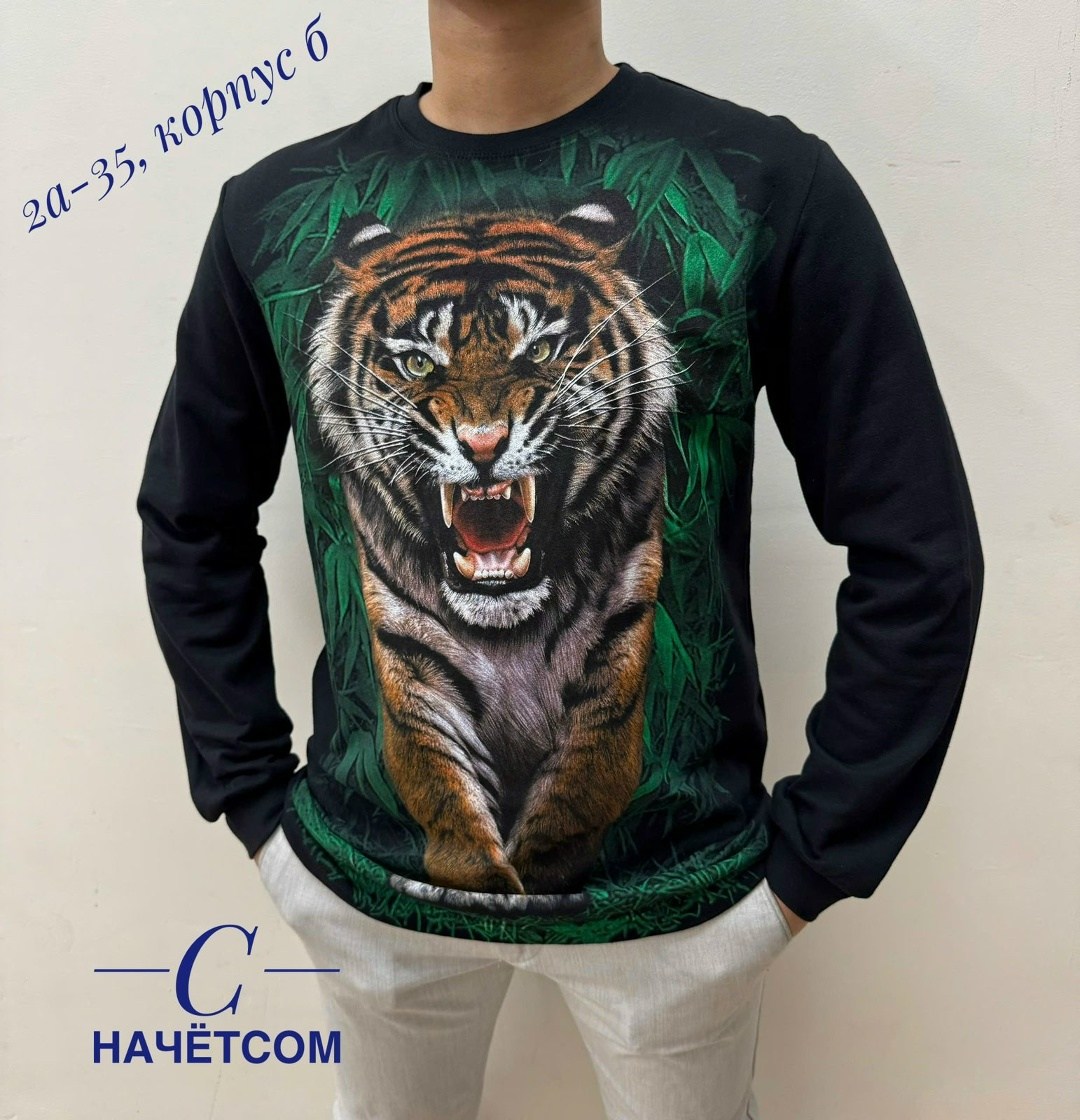 свитшот мужская,мужские свитшоты,мужская кофта,свитшот с рисунком,толстовки свитшот