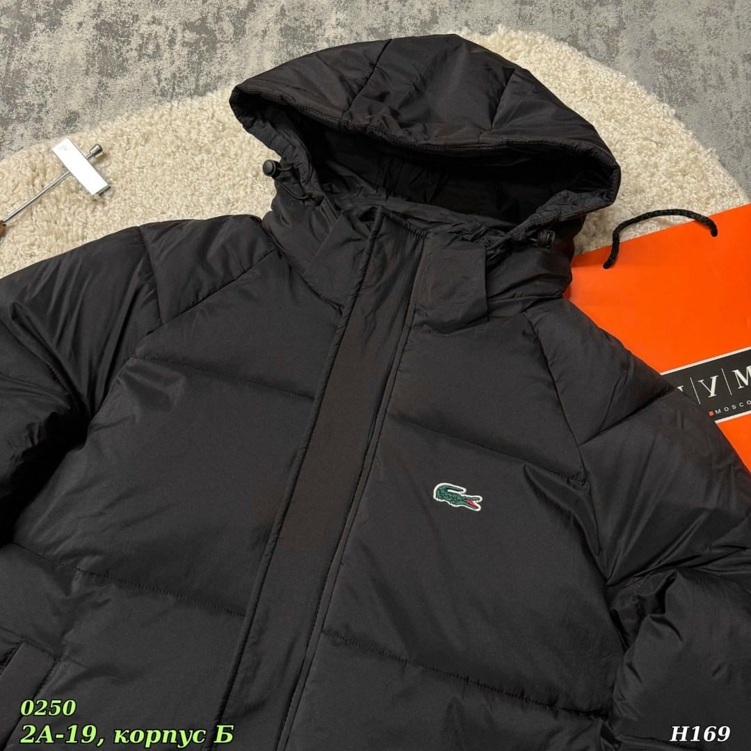 пуховик lacoste,куртка зимняя,пуховик зимний мужской,куртка пуховик зимний,куртка lacoste