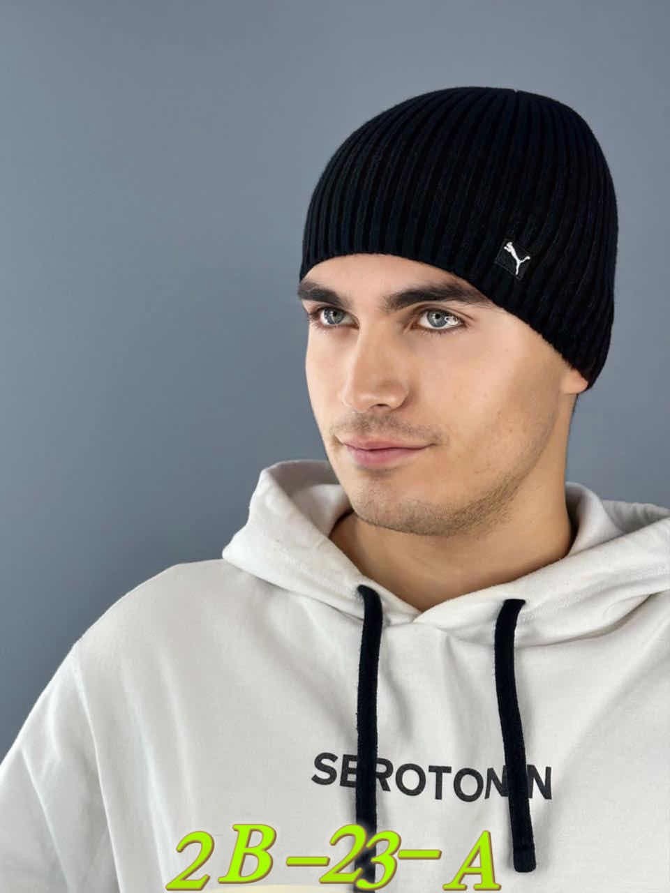 шапка для мужчин,шапка мужская,шапка мужская зимняя,шапка бини мужская,мужской комплект шапка