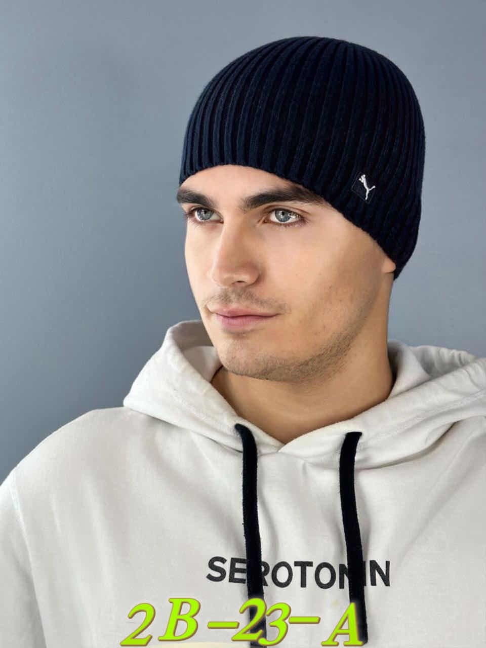 шапка для мужчин,шапка мужская,шапка мужская зимняя,шапка бини мужская,мужской комплект шапка