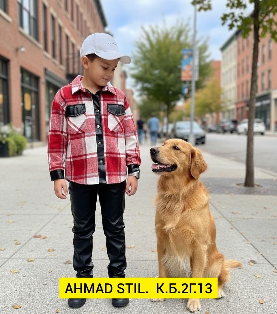 золотистый ретривер,голден ретривер,собака золотистый ретривер,golden retriever dog,ретриверы