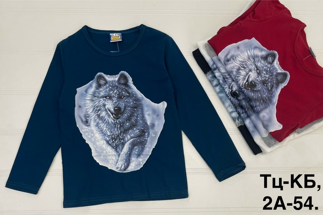 лонгслив детские,детский лонгслив,лонгслив для детей,детские свитшот, лонгслив на мальчик,лонгслив для мальчика