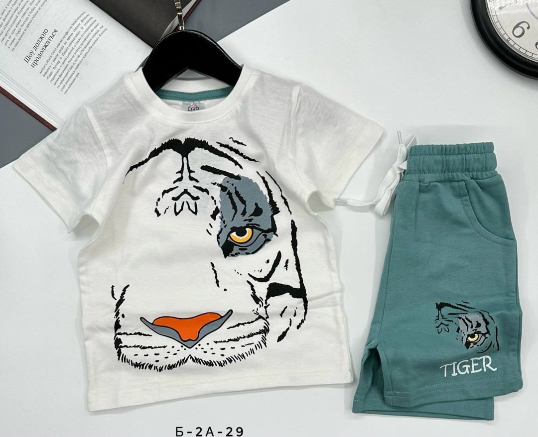 комплект одежды для мальчика,детские костюмы,cпортивный костюм для мальчика,костюмы для мальчиков,костюмы двойки