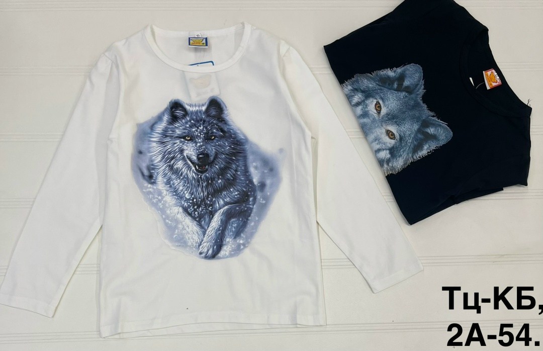 лонгслив детские,детский лонгслив,лонгслив для детей,детские свитшот, лонгслив на мальчик,лонгслив для мальчика