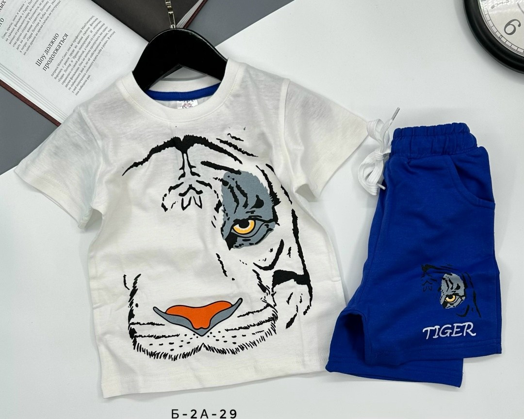 комплект одежды для мальчика,детские костюмы,cпортивный костюм для мальчика,костюмы для мальчиков,костюмы двойки