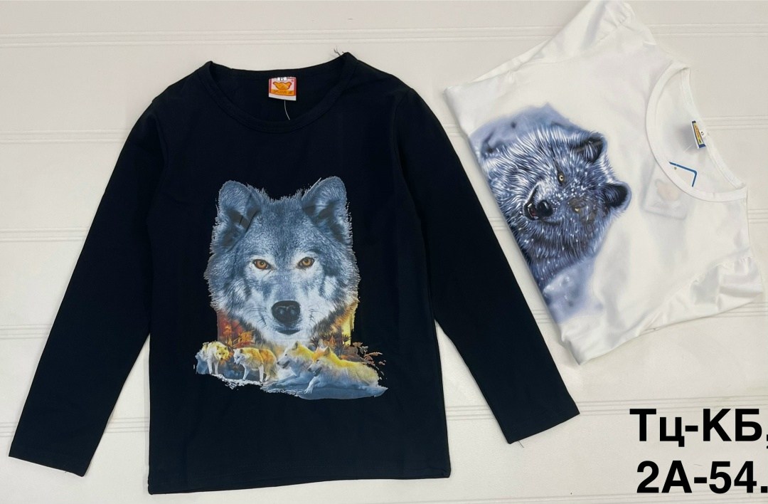 лонгслив детские,детский лонгслив,лонгслив для детей,детские свитшот, лонгслив на мальчик,лонгслив для мальчика