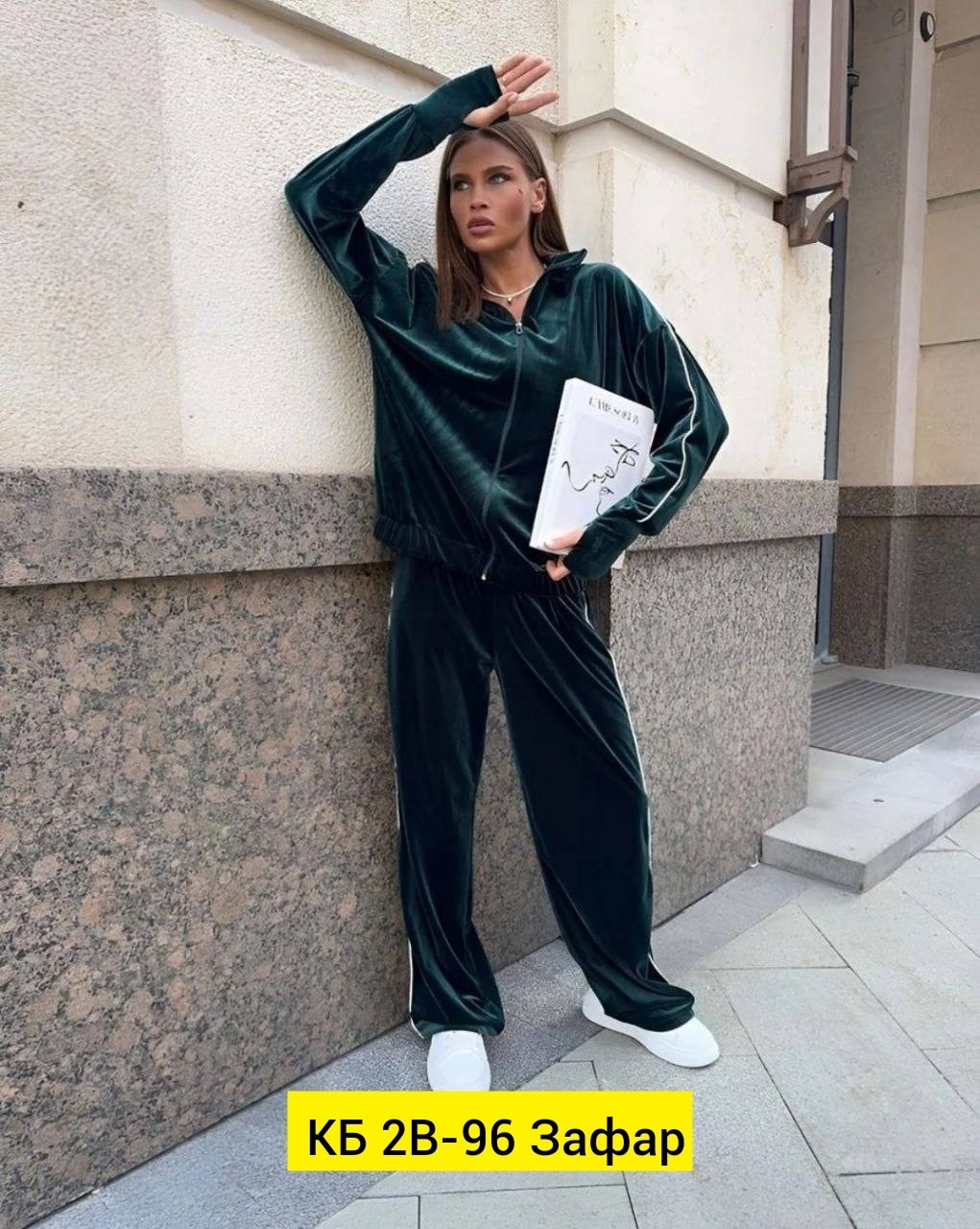 велюровый костюм,cпортивный костюм велюровый,велюровые костюмы женские,велюровый спортивный костюм женски,велюровый костюм двойка