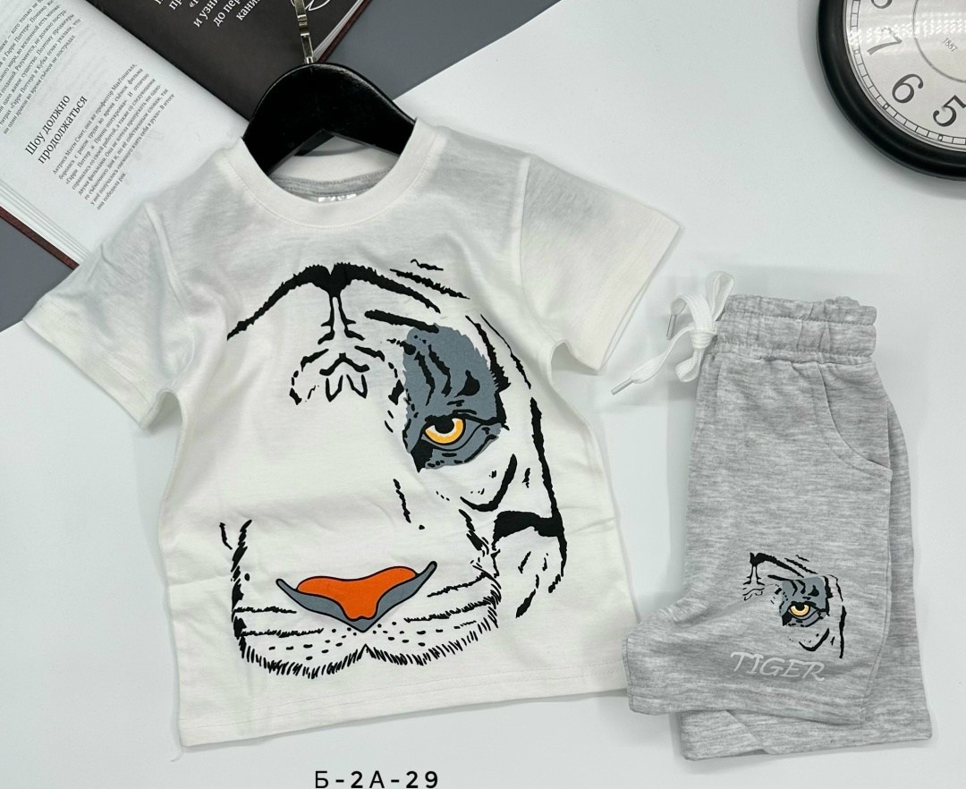 комплект одежды для мальчика,детские костюмы,cпортивный костюм для мальчика,костюмы для мальчиков,костюмы двойки