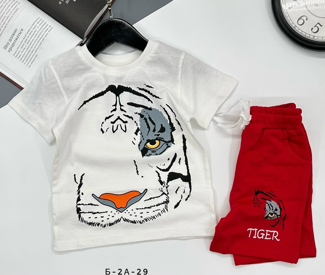 комплект одежды для мальчика,детские костюмы,cпортивный костюм для мальчика,костюмы для мальчиков,костюмы двойки