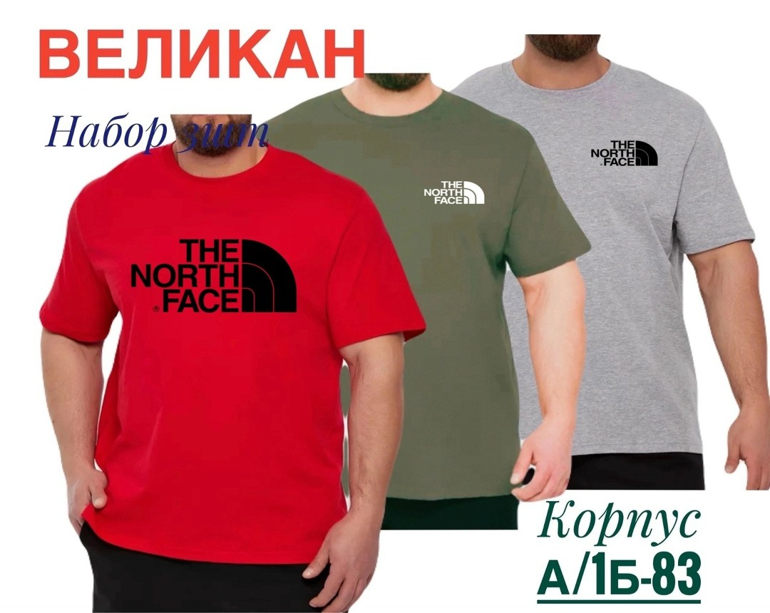 футболка мужская the north face,футболки для мужчин,the north face футболка,мужская футболка the north face easy,