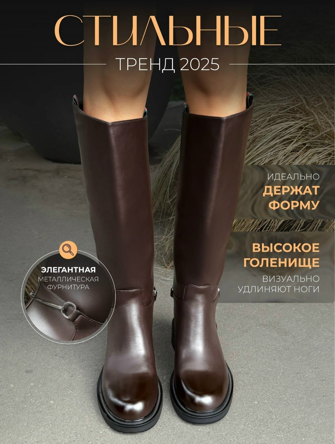 жокейские сапоги женские эконика,женские сапоги,стильные сапоги,эконика сапоги женские,сапоги высокие