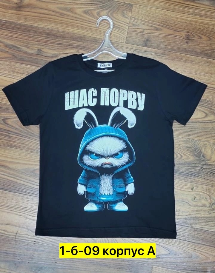 футболки мужские с принтом,футболки для мальчика,футболки для подростков,футболка с зайцем,футболка щас порву