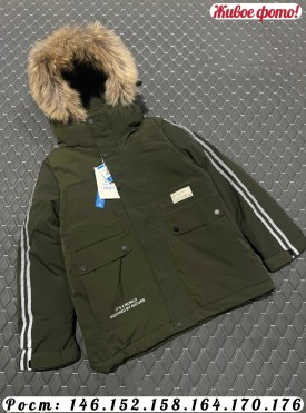 Верхняя одежда