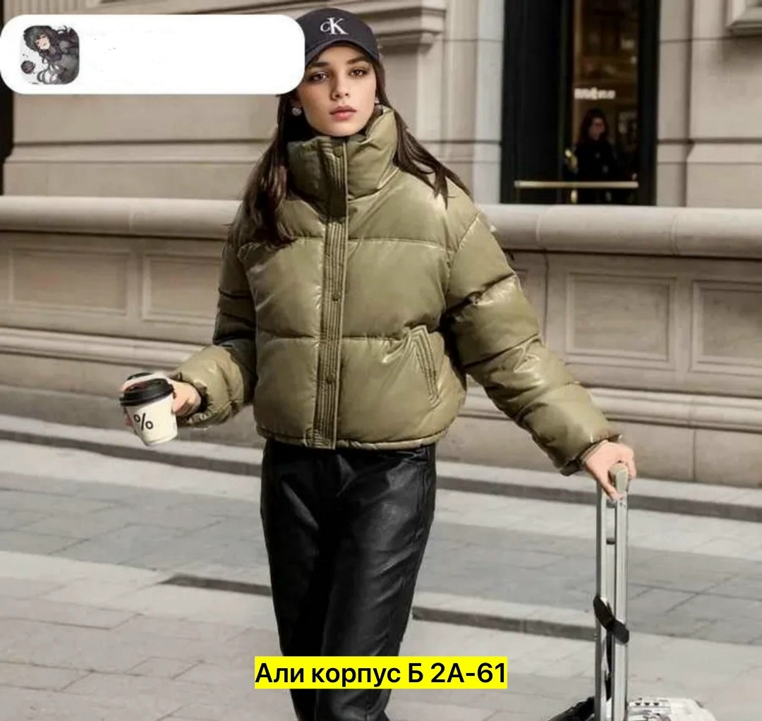 модная куртка,куртка пуховик,куртка женская,женские пуховики,модные пуховики