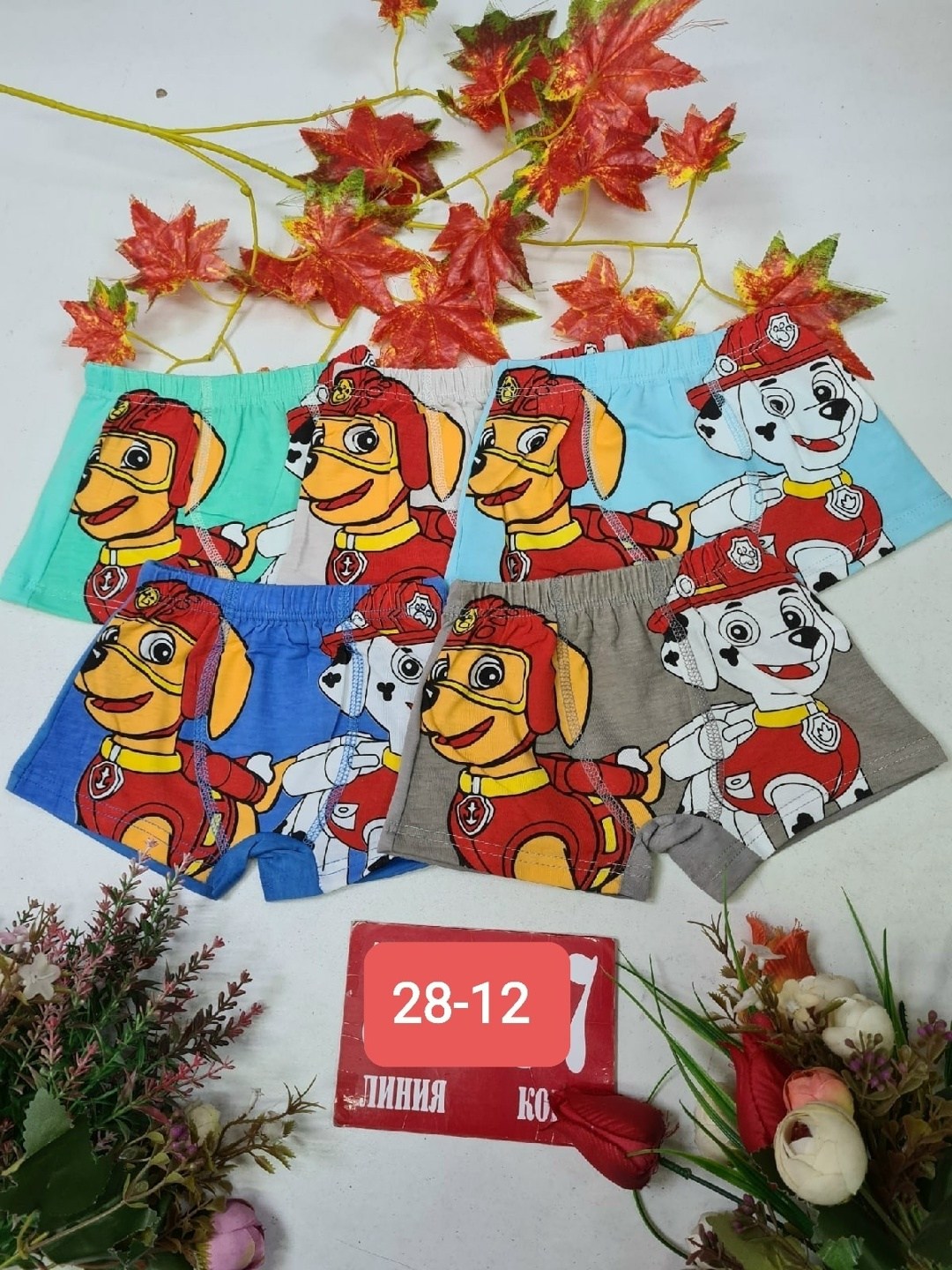 трусы для мальчиков,трусы детские,детские трусы для мальчика,трусы детские 5 шт,трусы для мальчика 5 шт