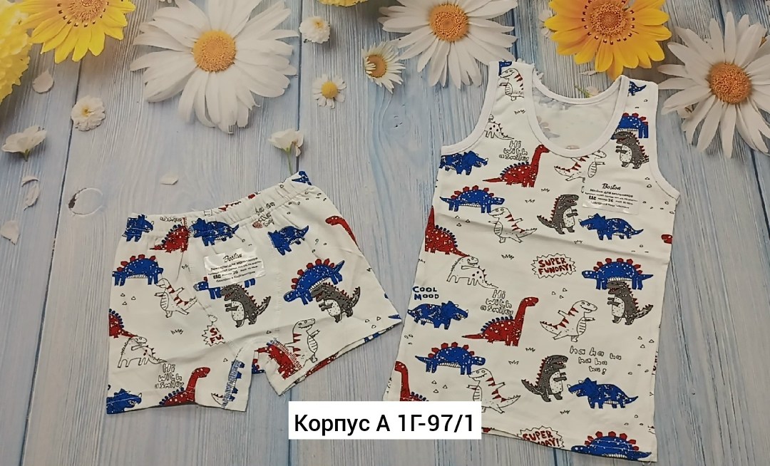 комплект нижнего белья для мальчика,комплект майка и трусы для мальчика,комплект нижнего детского белья,комплект нижнего белья для мальчика майка,комплект нижнего белья для мальчика майка трусы