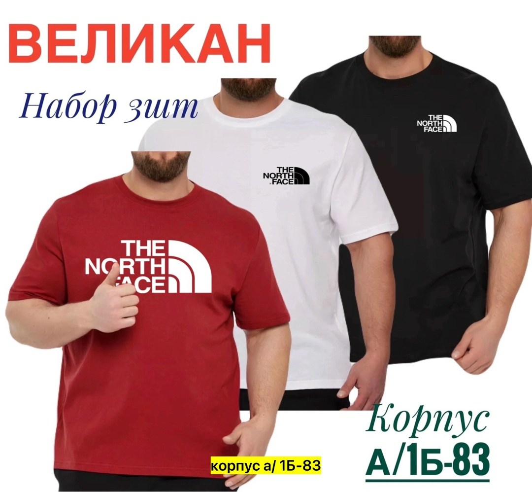 мужские футболки the north face,футболки для мужчин,,мужская футболка
