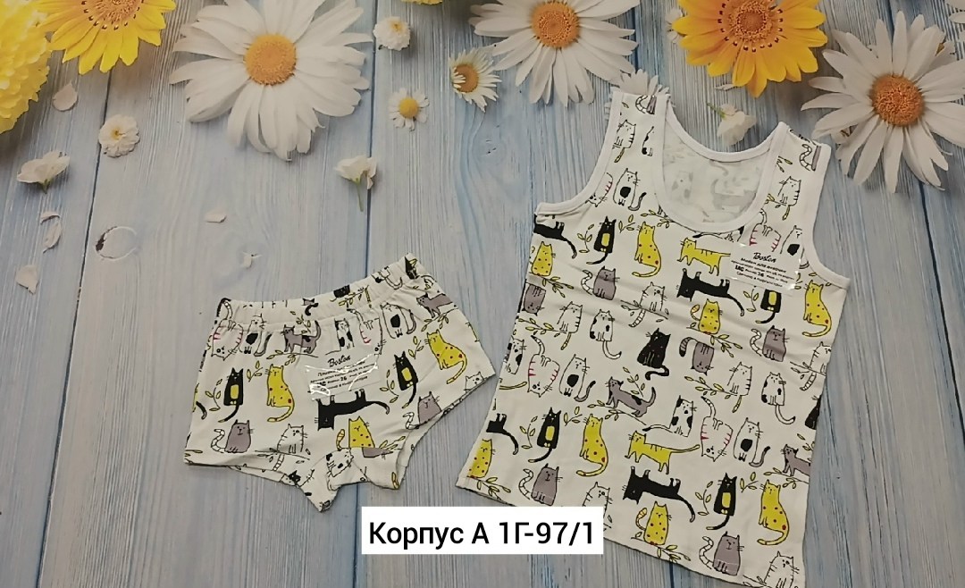 комплект нижнего белья для мальчика,комплект майка и трусы для мальчика,комплект нижнего детского белья,комплект нижнего белья для мальчика майка,комплект нижнего белья для мальчика майка трусы