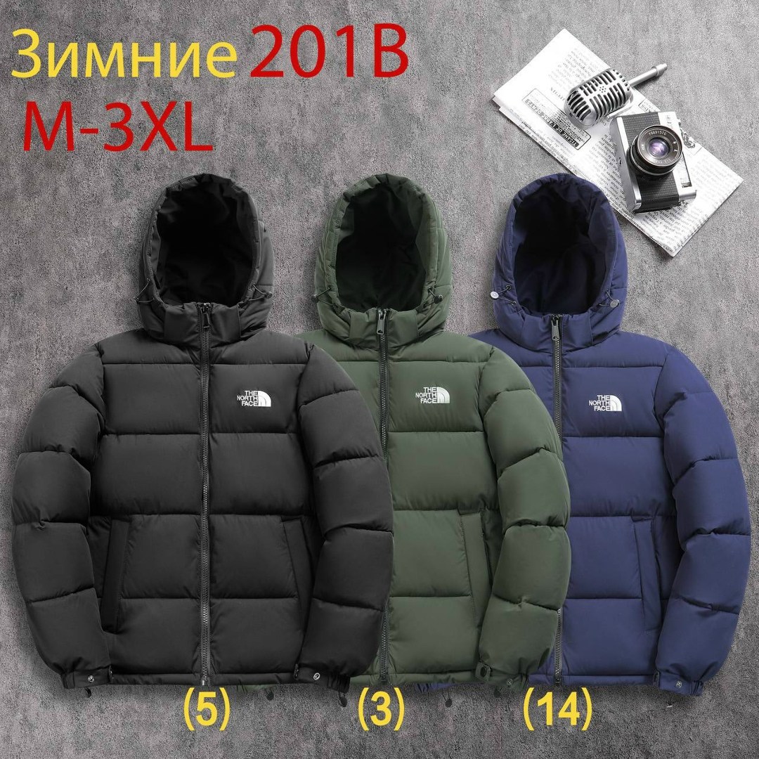 пуховик the north face,куртка пуховик the north face,пуховик куртка,пуховик мужской the north face,куртка зимняя
