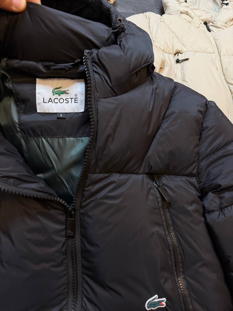 мужские пуховики lacoste,зимние куртки,пуховик lacoste,куртка пуховик,куртка пуховик мужская