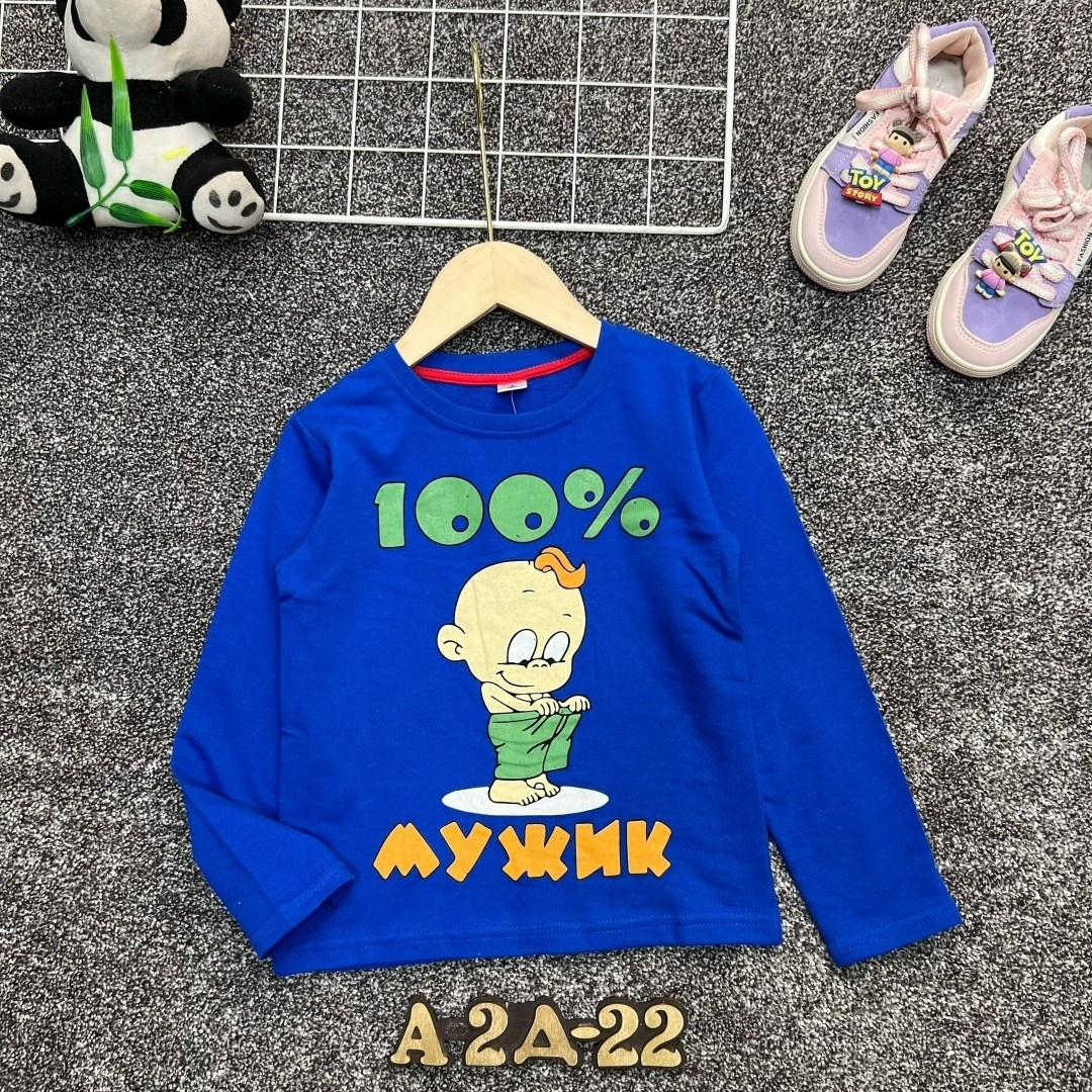 свитшот для мальчиков детский,cвитшот для мальчика,детская кофта,кофта для мальчика,толстовка кофта