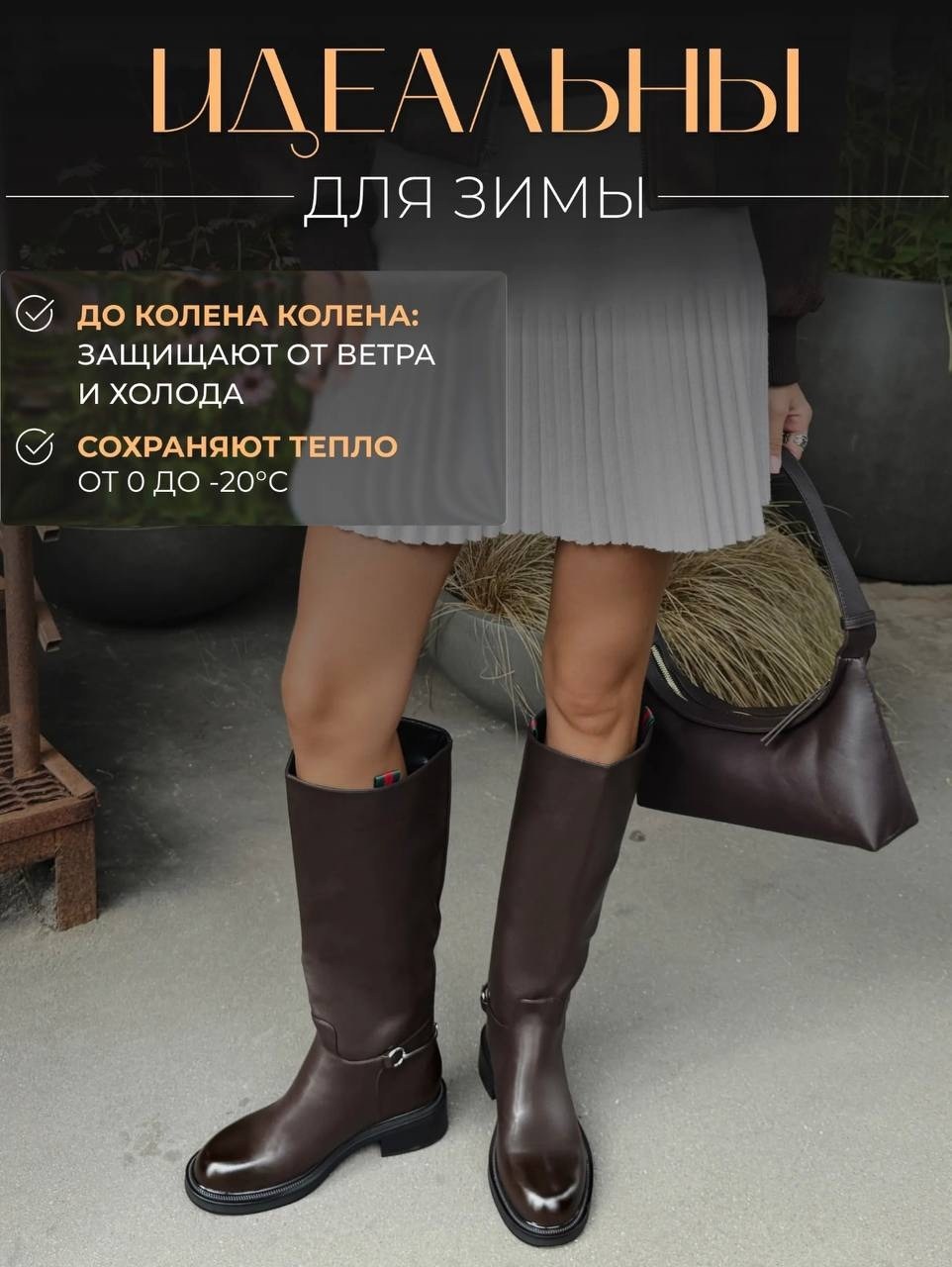 жокейские сапоги женские эконика,сапоги демисезонные женские,стильные сапоги,сапоги демисезонные,сапоги высокие