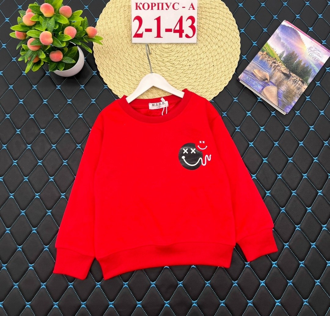 детская кофта,детский джемпер,детский свитшот,кофта для мальчика,кофта свитшот для мальчика