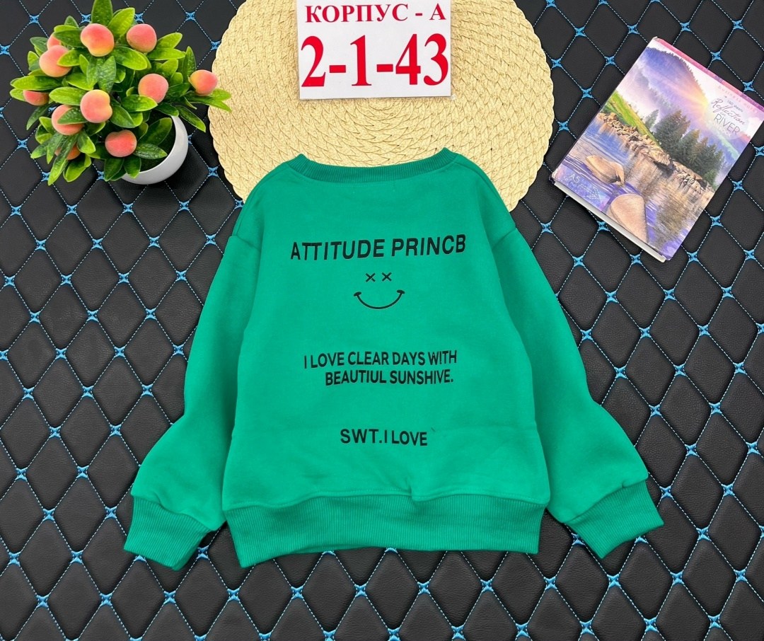 детская кофта,детский джемпер,детский свитшот,кофта для мальчика,кофта свитшот для мальчика