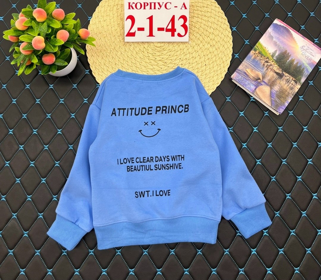 детская кофта,детский джемпер,детский свитшот,кофта для мальчика,кофта свитшот для мальчика