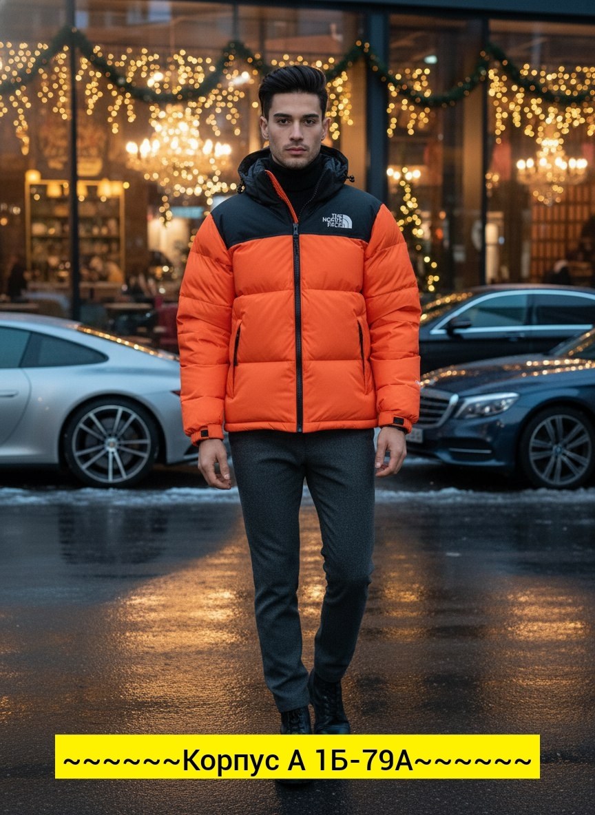 пуховик the north face,зимние куртки,мужские пуховики the north face,куртка the north face,зимняя куртка the north face