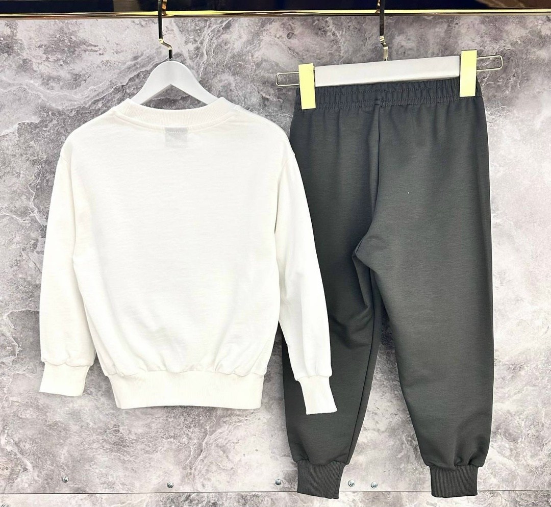 свитшот и брюки,,одежда для мальчика,детские костюмы,детский костюм