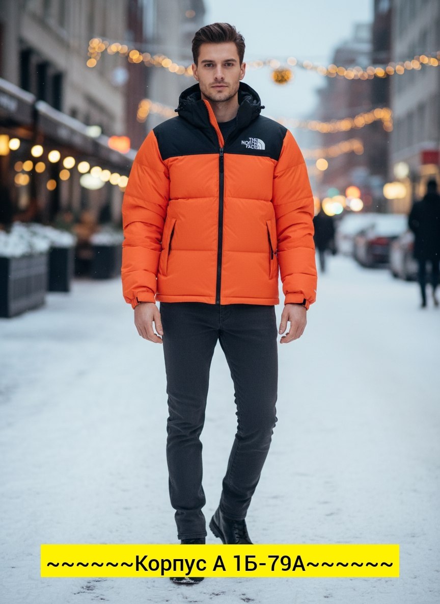 пуховик the north face,зимние куртки,мужские пуховики the north face,куртка the north face,зимняя куртка the north face