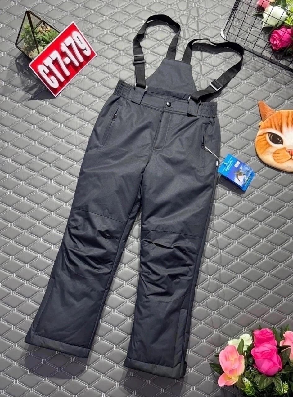 брюки горнолыжные,брюки мужские горнолыжные,горнолыжные штаны,горнолыжные штаны мужские,брюки мужские утепленные зимние