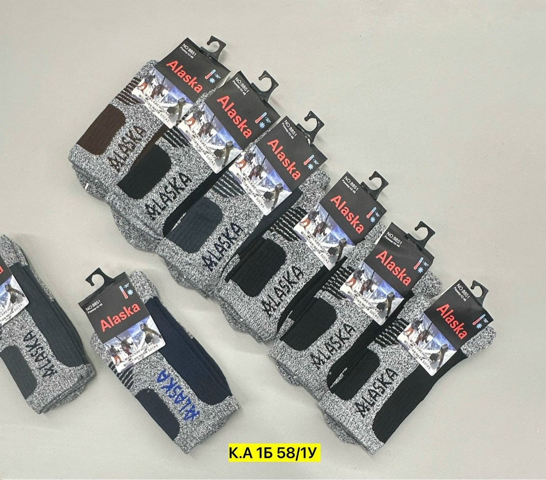 носки мужские,носки мужские аляска термо,термоноски спортивные,мужские термоноски,мужские термо носки