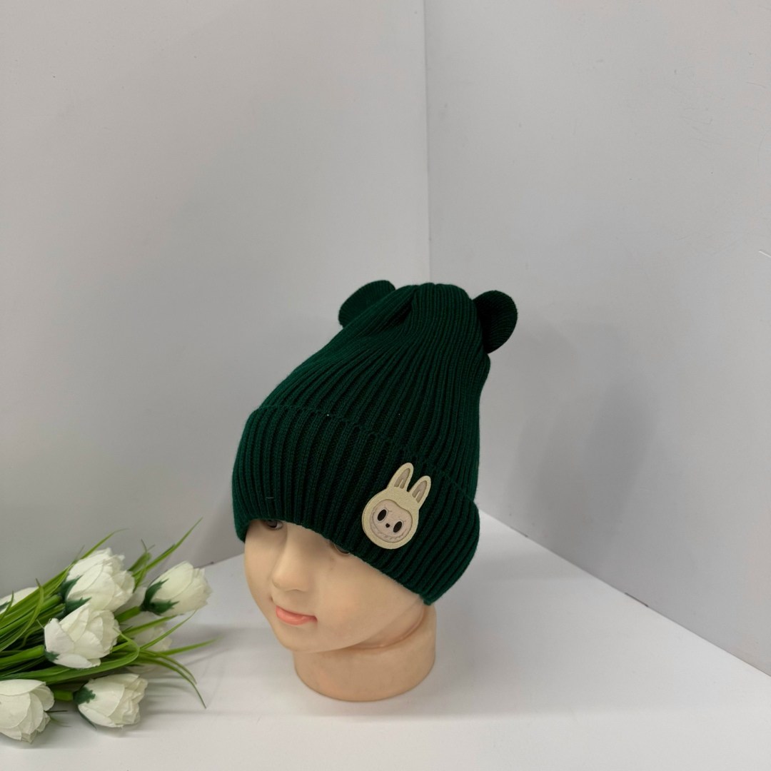 шапка для детей,детская шапка,вязаная шапка,шапочка,шапка демисезонная